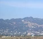 California Appeal Law Firm reviews Berkeley Hillside Preservation v. City of Berkeley